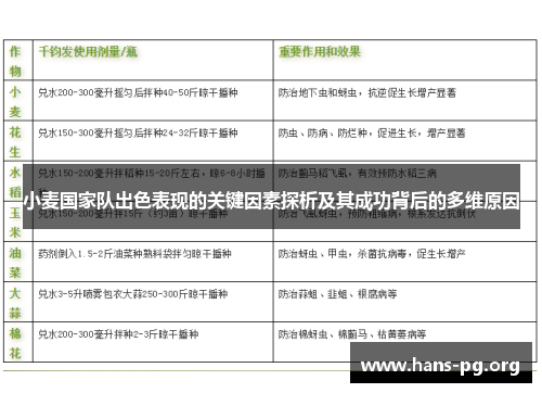 小麦国家队出色表现的关键因素探析及其成功背后的多维原因