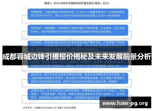 成都蓉城边锋引援报价揭秘及未来发展前景分析