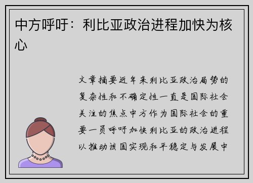 中方呼吁：利比亚政治进程加快为核心