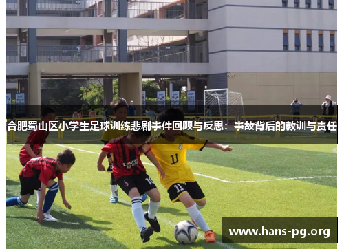 合肥蜀山区小学生足球训练悲剧事件回顾与反思：事故背后的教训与责任
