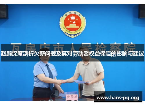 赵鹏深度剖析欠薪问题及其对劳动者权益保障的影响与建议